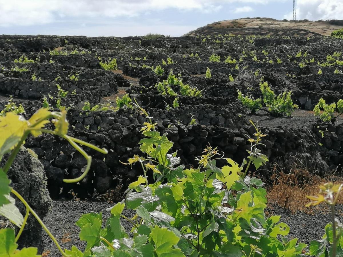 Casa Rosa Villa Puerto Calero Eksteriør billede