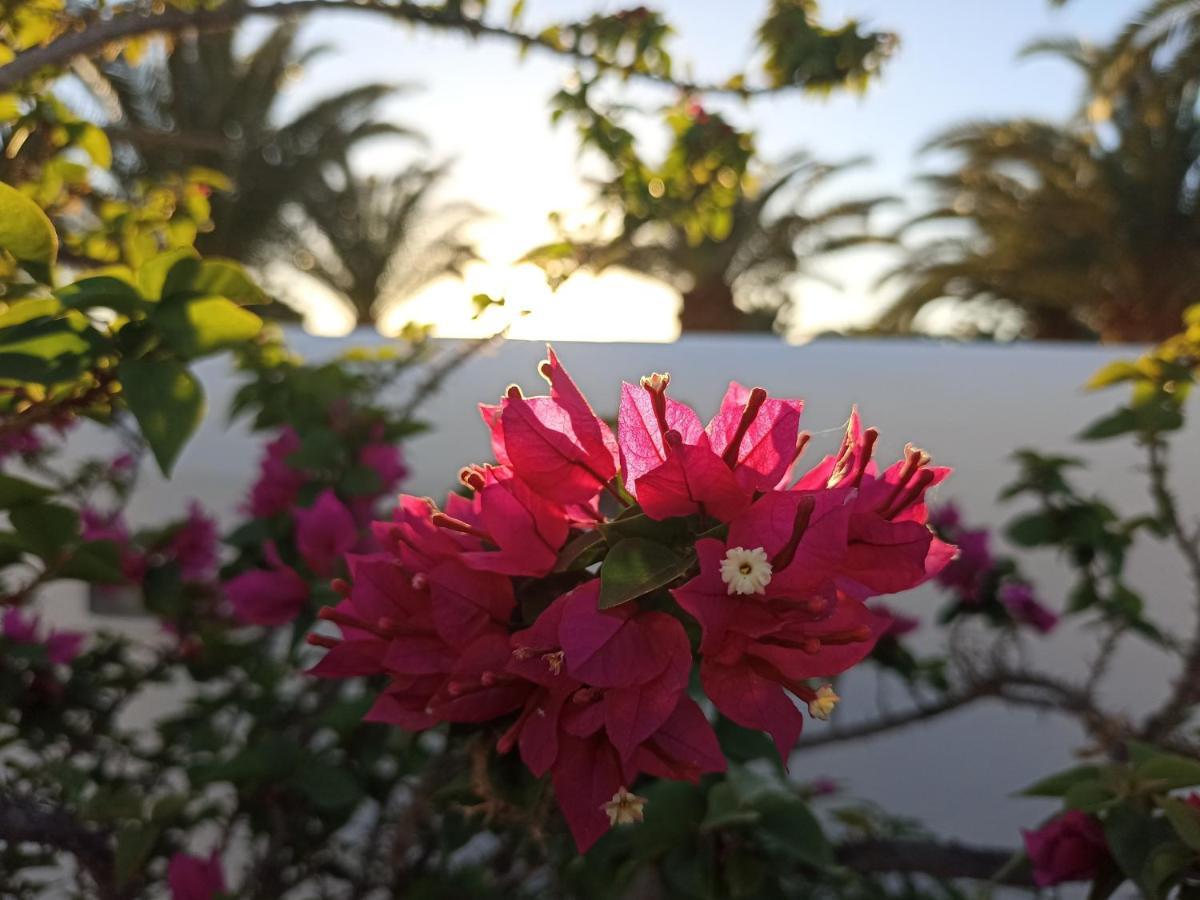 Casa Rosa Villa Puerto Calero Eksteriør billede